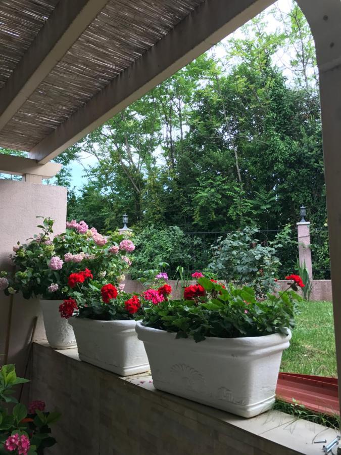 Villa Alla Bed And Breakfast Herceg Novi Bagian luar foto