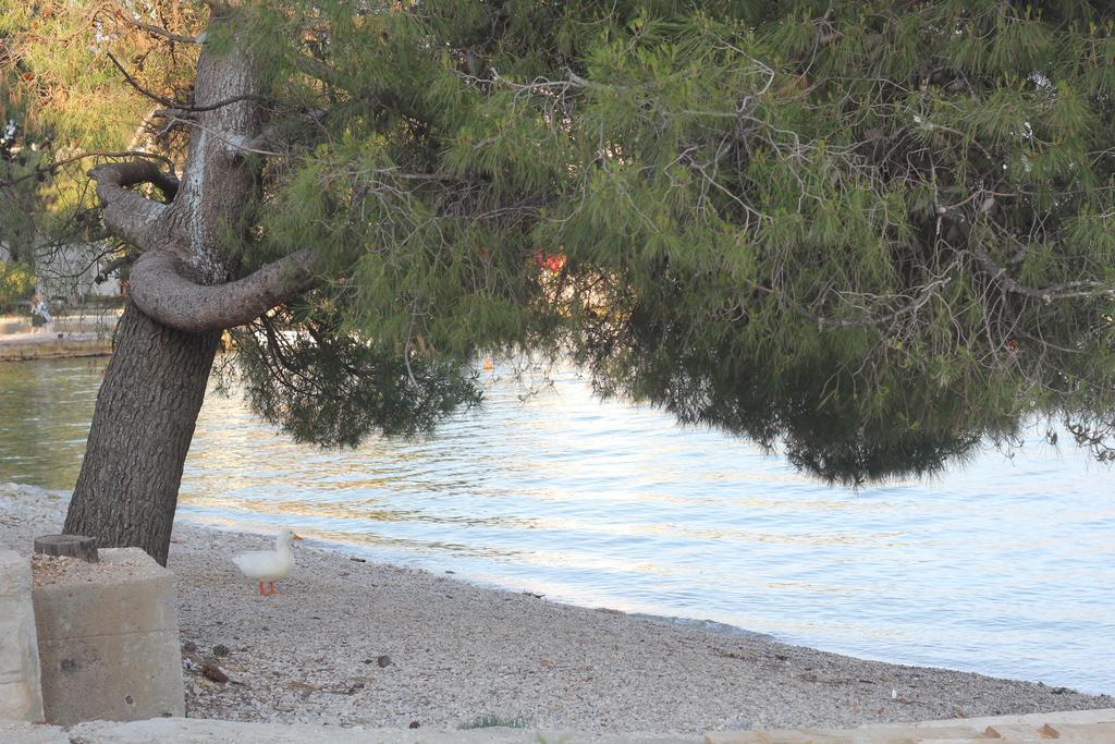Villa Alla Bed And Breakfast Herceg Novi Bagian luar foto