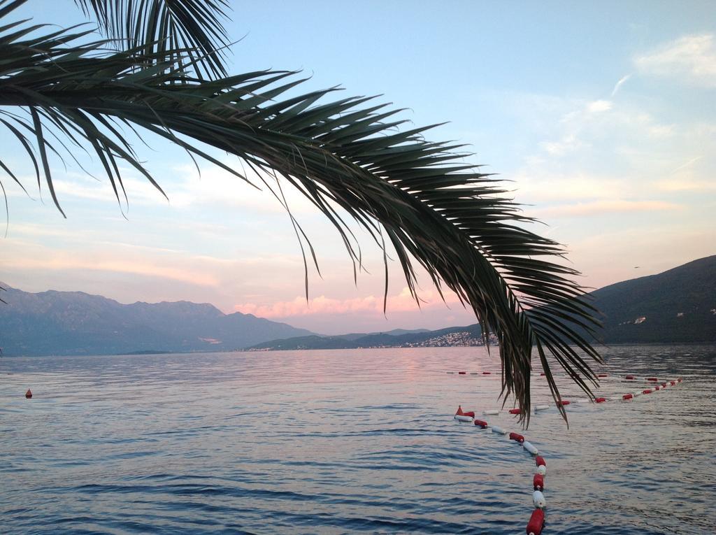 Villa Alla Bed And Breakfast Herceg Novi Bagian luar foto